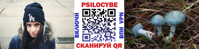 Псилоцибиновые грибы ЛСД Лыткарино