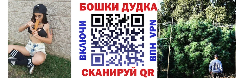 Канабис гибрид  Лыткарино 